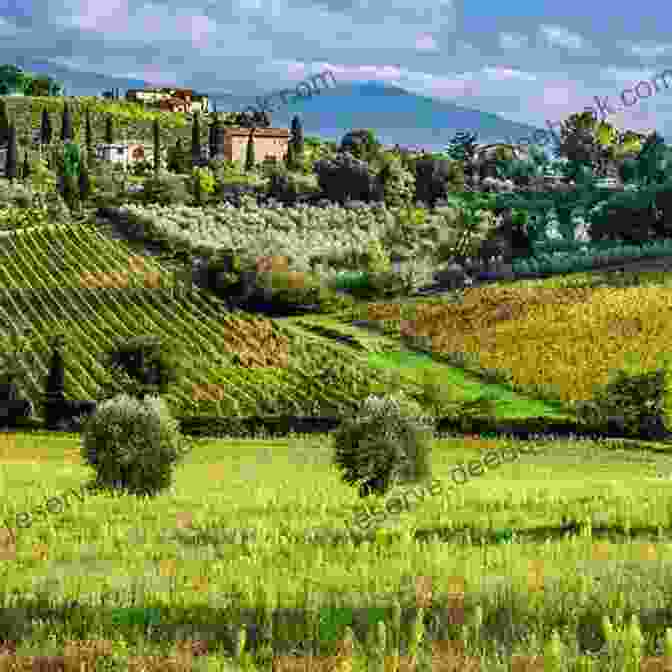 A Couple Embracing Amidst A Picturesque Tuscan Landscape, Surrounded By Vineyards And Cypress Trees, With A Warm Afternoon Sun Casting A Golden Glow Christmas Secrets At Villa Limoncello: A Feel Good Christmas Holiday Romance (Tuscan Dreams 3)