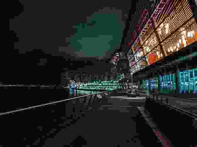 A Panoramic Shot Of The Drive In At Night, Showcasing The Illuminated Screen Against The Backdrop Of A Starlit Sky. The Ford Wyoming Drive In: Cars Candy Canoodling In The Motor City (Landmarks)