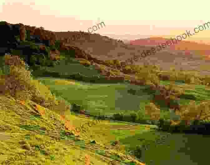 A Scenic View Of The Cotswolds Countryside Literary By Paths In Old England