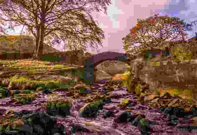 A Scenic View Of The Yorkshire Moors Countryside Literary By Paths In Old England