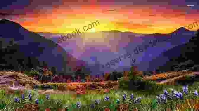 A Sunrise Over A Mountain Range. Out Of The Storm (A Buckhorn Montana Novel 1)