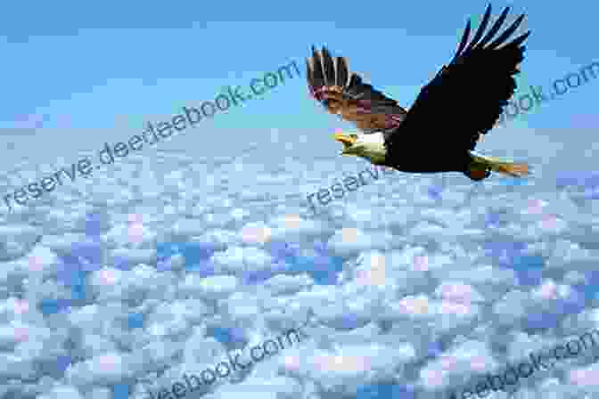 An Eagle Soaring Above The Clouds Brave Birds: Inspiration On The Wing