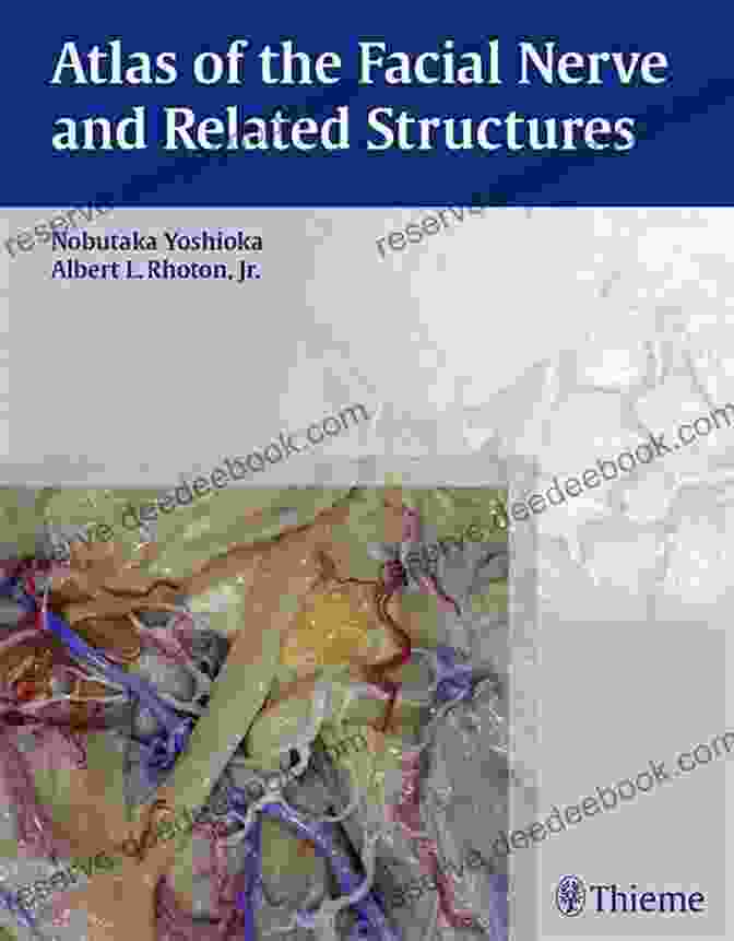 Atlas Of The Facial Nerve And Related Structures: A Comprehensive Guide For Surgeons, Otolaryngologists, And Neurosurgeons Atlas Of The Facial Nerve And Related Structures