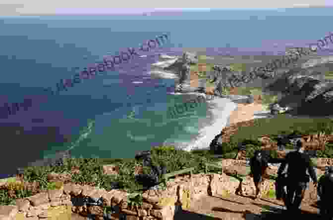 Cape Point, Cape Town Top 12 Things To See And Do In Cape Town Top 12 Cape Town Travel Guide