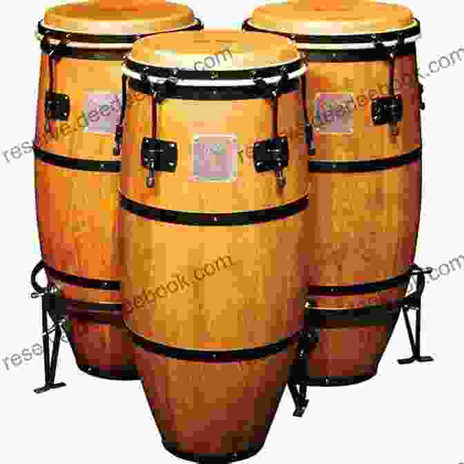 Close Up Of Conga And Bongo Drums, Traditional Percussion Instruments Used In Latin Jazz Music Conga And Bongo Drum In Jazz