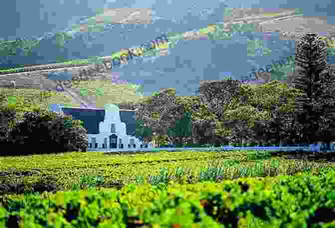 Constantia Wine Valley, Cape Town Top 12 Things To See And Do In Cape Town Top 12 Cape Town Travel Guide