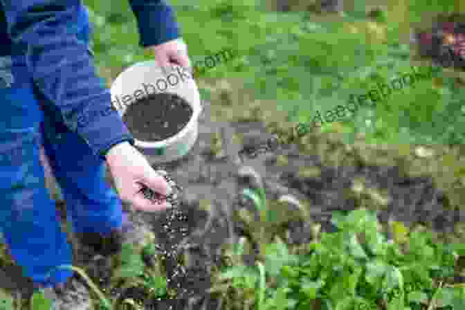 Image Of Person Fertilizing A Plant Houseplants: Easy Steps To Growing Plants: How To Planting Trees