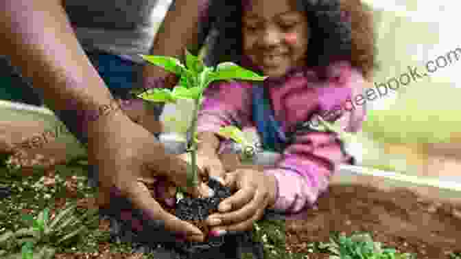 Image Of Person Planting Seeds In A Seed Tray Houseplants: Easy Steps To Growing Plants: How To Planting Trees