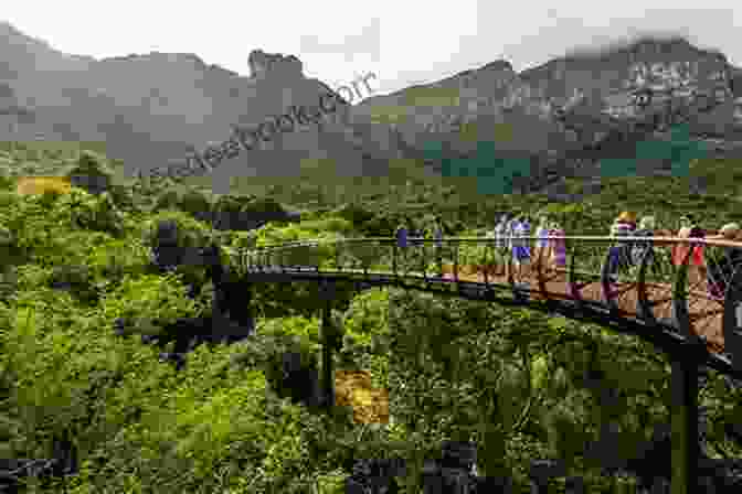 Kirstenbosch National Botanical Garden, Cape Town Top 12 Things To See And Do In Cape Town Top 12 Cape Town Travel Guide