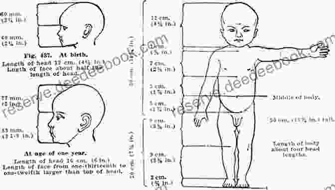 Proportions Of A Baby's Head And Body Drawing Using Grids: Portraits Of Babies Children