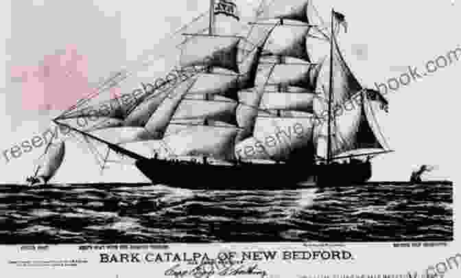The Catalpa Arriving In New York Harbor, With The Escaped Irish Fenian Prisoners Being Greeted As Heroes By Thousands Of Irish Americans The Catalpa Adventure: Escape To Freedom