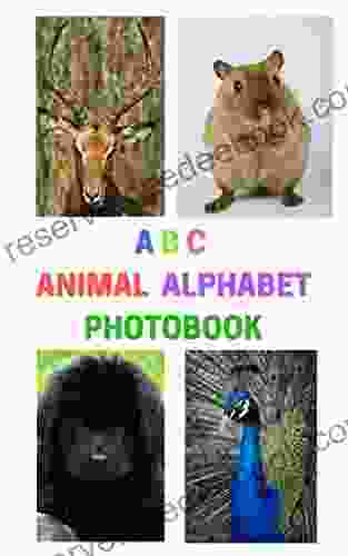 ABC ANIMAL ALPHABET PHOTOBOOK Rebel Girls