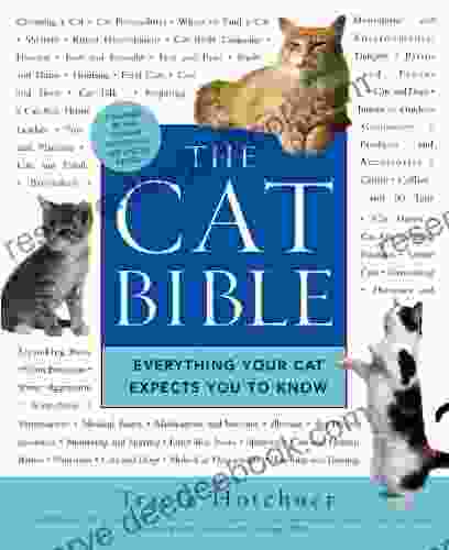 The Cat Bible: Everything Your Cat Expects You To Know
