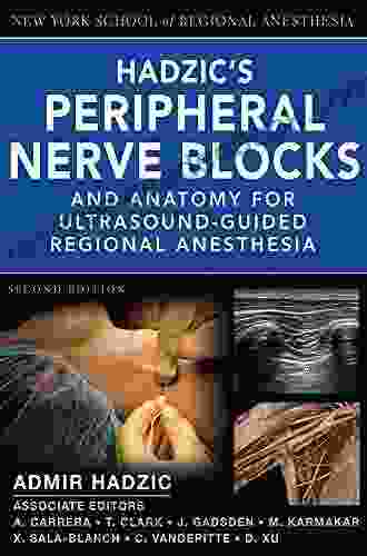 Hadzic S Peripheral Nerve Blocks And Anatomy For Ultrasound Guided Regional Anesthesia (New York School Of Regional Anesthesia)