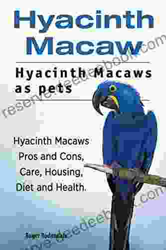 Hyacinth Macaws As Pets Hyacinth Macaw Hyacinth Macaws Pros And Cons Housing Care Health And Diet