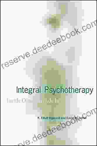 Integral Psychotherapy: Inside Out/Outside In (SUNY In Integral Theory)