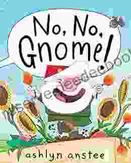 No No Gnome Ashlyn Anstee