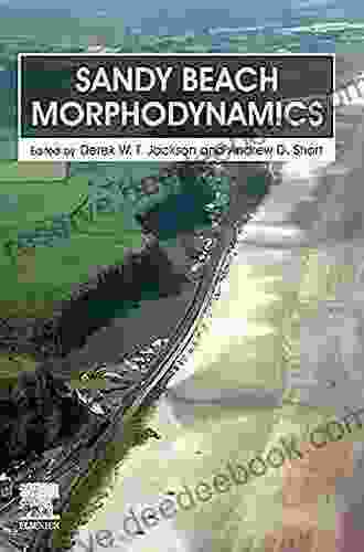 Sandy Beach Morphodynamics: Form And Process