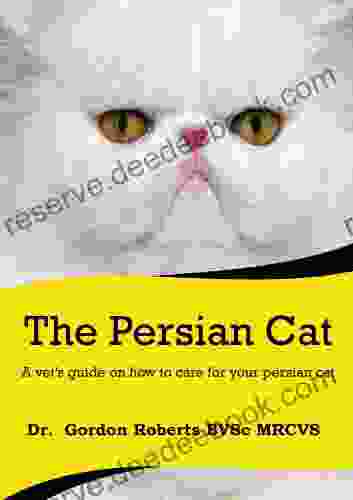 The Persian Cat (A Vet S Guide On How To Care For Your Persian Cat)