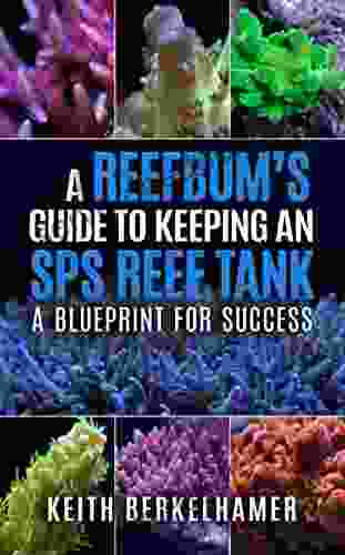 A ReefBum S Guide To Keeping An SPS Reef Tank: A Blueprint For Success