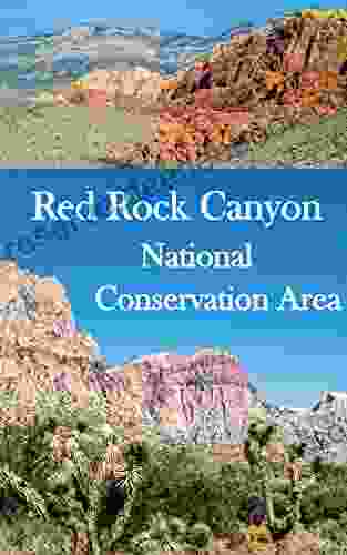 Red Rock Canyon National Conservation Area: A Casual Hiker S Guide To Nature And Ancient Artifacts