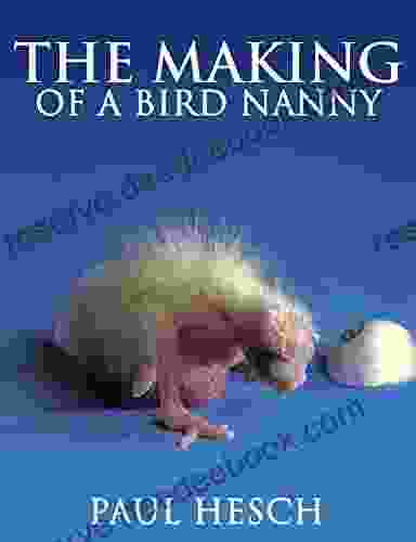 The Making Of A Bird Nanny